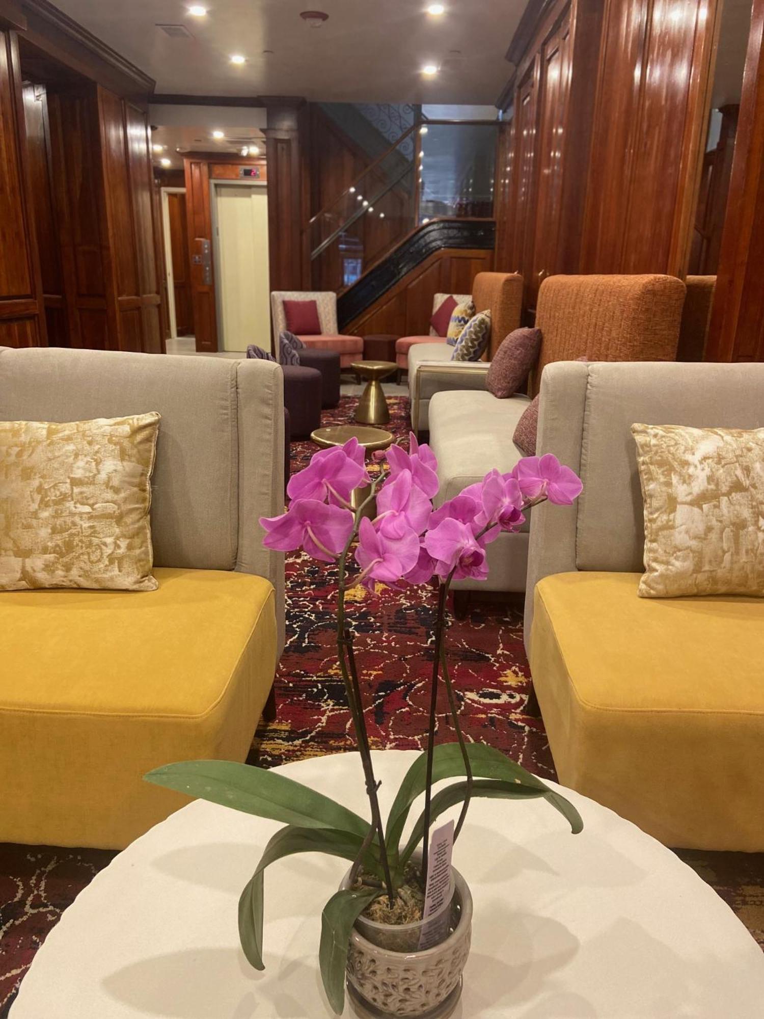 ניו יורק The Mayfair Hotel Times Square, Ascend Hotel Collection מראה חיצוני תמונה